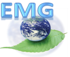www.emg-consulting-group.com